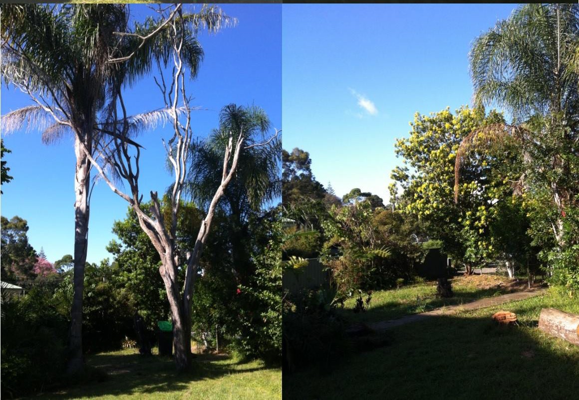 Vegetation Management